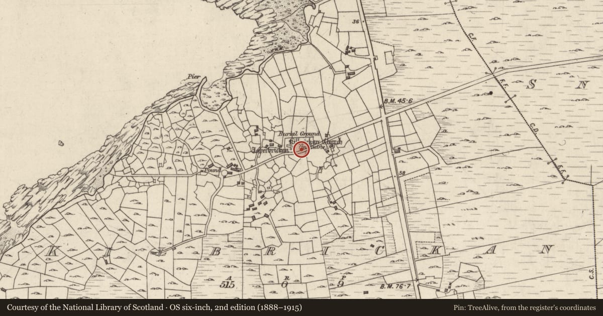 Ordnance Survey six-inch map, 2nd edition (1888–1915) covering the location of Graveyard, Cill Bhreacáin, County Galway, with a pin at the register's coordinates