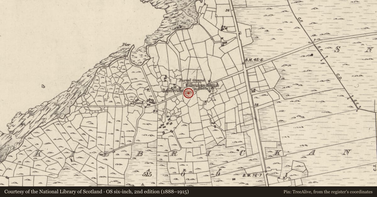 Ordnance Survey six-inch map, 2nd edition (1888–1915) covering the location of Ritual site - holy well, Cill Bhreacáin, County Galway, with a pin at the register's coordinates