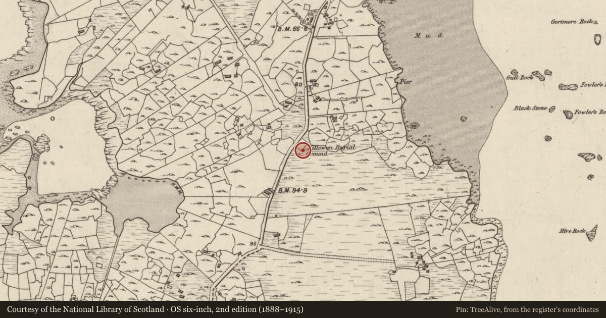 Ordnance Survey six-inch map, 2nd edition (1888–1915) covering the location of Burial ground, An Turlach, County Galway, with a pin at the register's coordinates