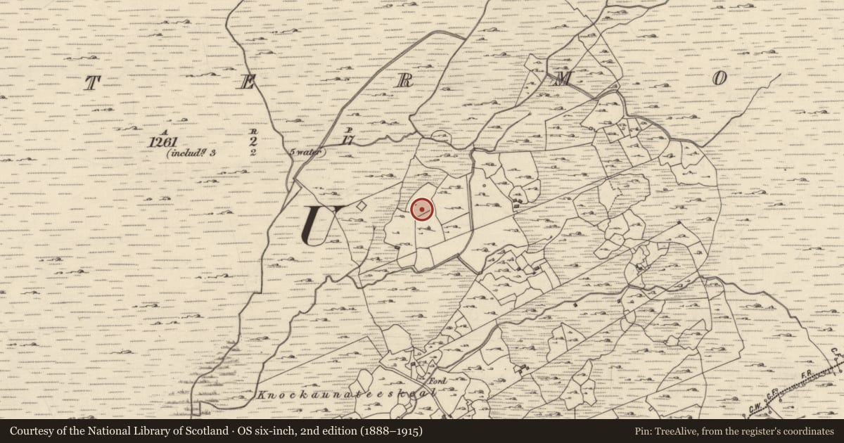 Ordnance Survey six-inch map, 2nd edition (1888–1915) covering the location of Kiln - corn-drying, Leitir Mór Na Coille (Cill Chuimín), County Galway, with a pin at the register's coordinates