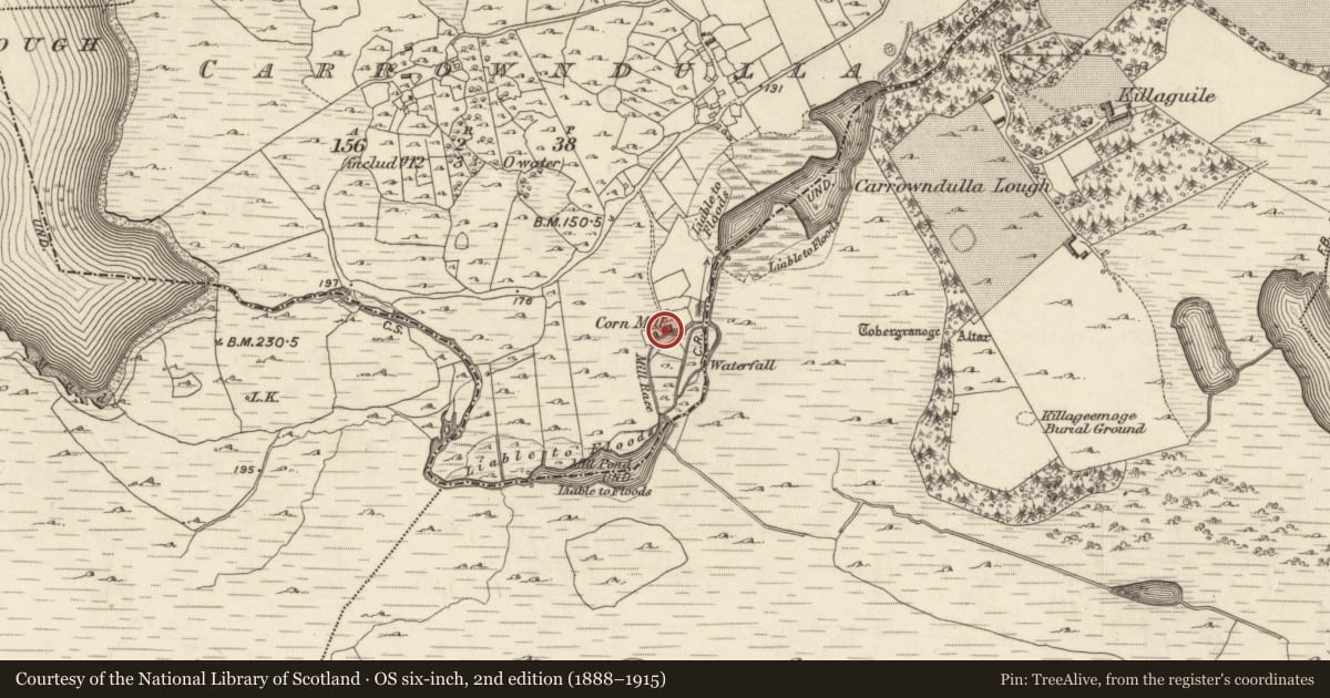 Ordnance Survey six-inch map, 2nd edition (1888–1915) covering the location of Mill - corn, Carrowndulla, County Galway, with a pin at the register's coordinates