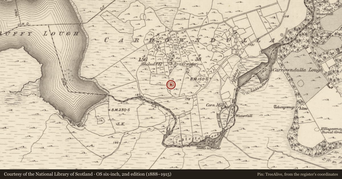 Ordnance Survey six-inch map, 2nd edition (1888–1915) covering the location of Enclosure, Carrowndulla, County Galway, with a pin at the register's coordinates