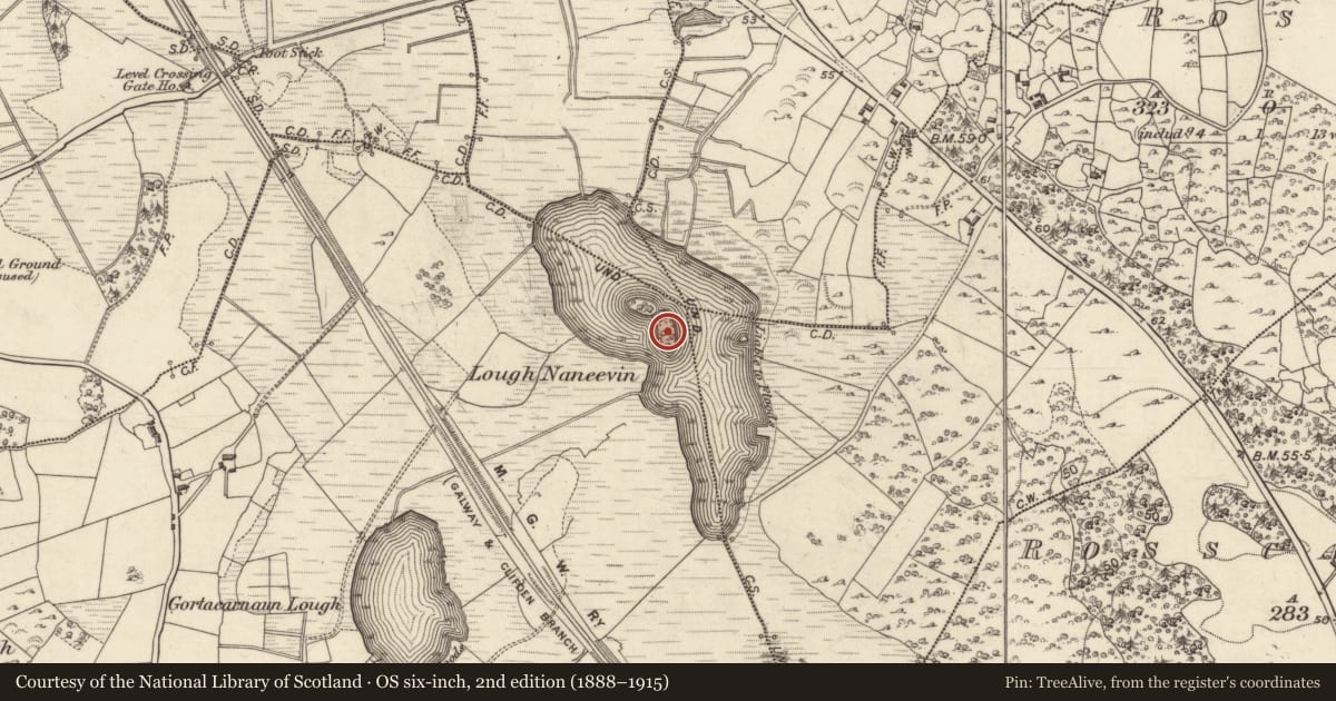 Ordnance Survey six-inch map, 2nd edition (1888–1915) covering the location of Crannog, Gortacarnaun, County Galway, with a pin at the register's coordinates