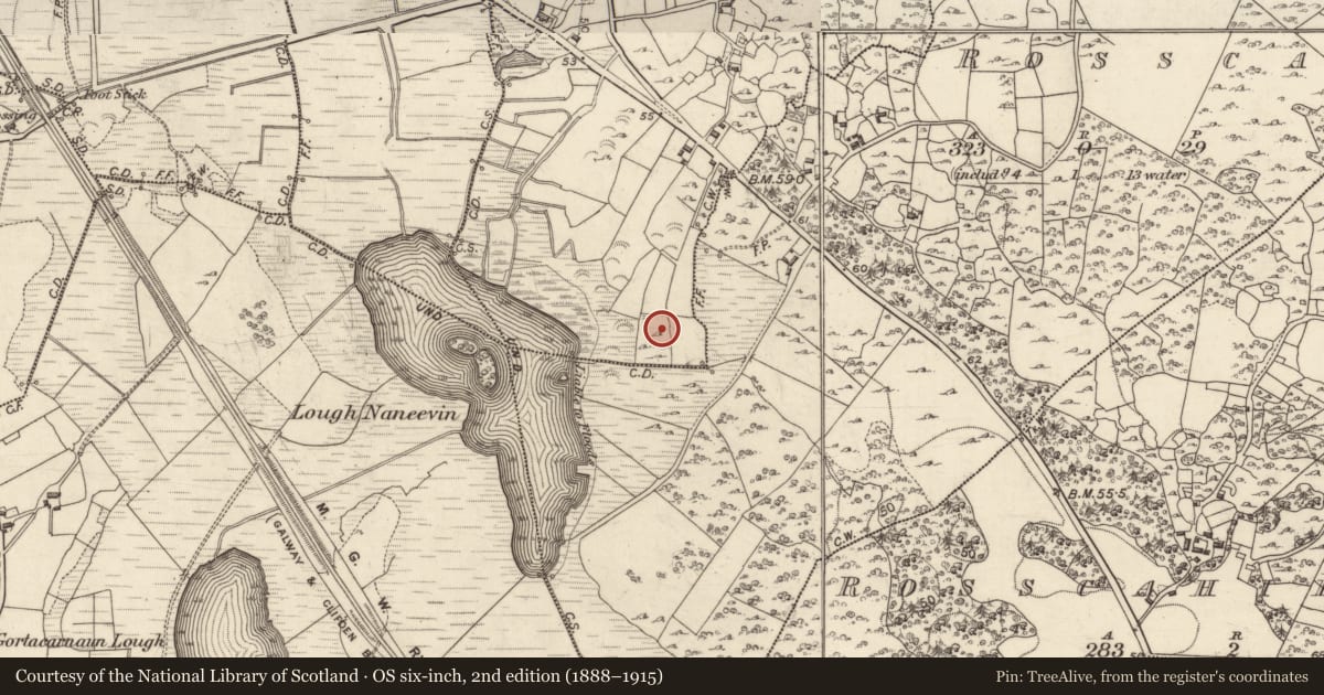 Ordnance Survey six-inch map, 2nd edition (1888–1915) covering the location of Ringfort - unclassified, Gortnagroagh, County Galway, with a pin at the register's coordinates