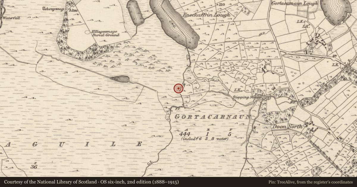 Ordnance Survey six-inch map, 2nd edition (1888–1915) covering the location of Enclosure, Killaguile, County Galway, with a pin at the register's coordinates