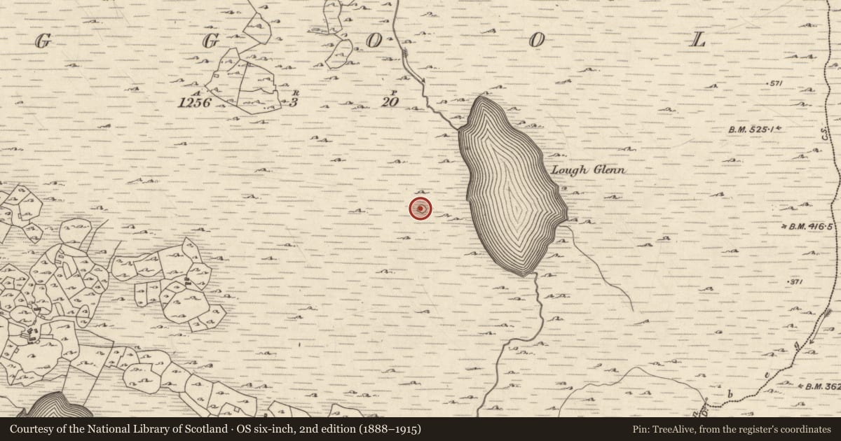 Ordnance Survey six-inch map, 2nd edition (1888–1915) covering the location of Sheepfold, Ogúil, County Galway, with a pin at the register's coordinates