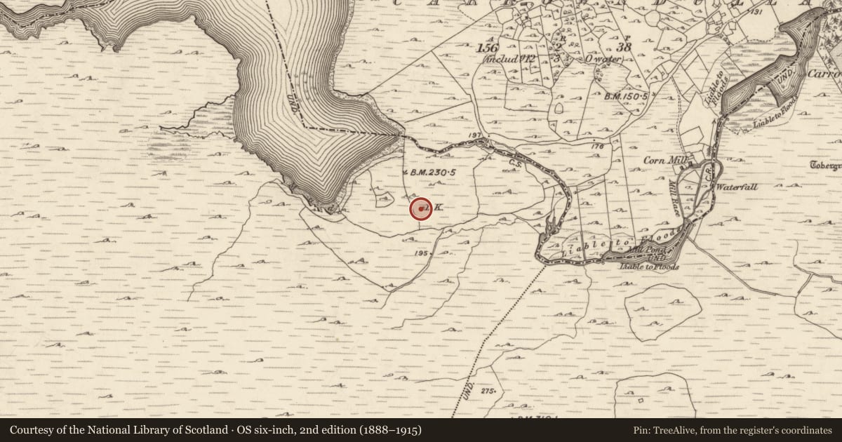 Ordnance Survey six-inch map, 2nd edition (1888–1915) covering the location of Kiln - lime, Buffy, County Galway, with a pin at the register's coordinates