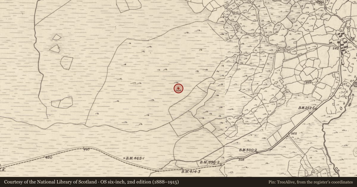Ordnance Survey six-inch map, 2nd edition (1888–1915) covering the location of Cist, Cnoc Raithní, County Galway, with a pin at the register's coordinates