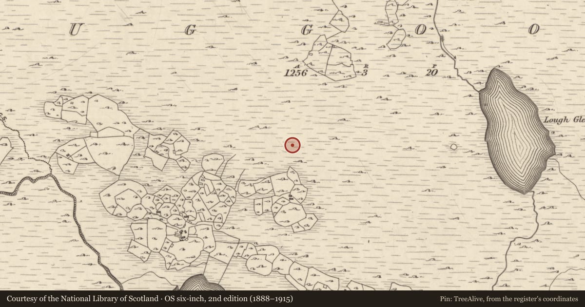Ordnance Survey six-inch map, 2nd edition (1888–1915) covering the location of Kiln - corn-drying, Ogúil, County Galway, with a pin at the register's coordinates