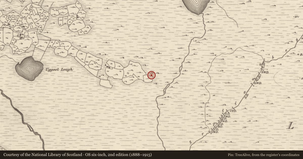 Ordnance Survey six-inch map, 2nd edition (1888–1915) covering the location of Kiln - corn-drying, Ogúil, County Galway, with a pin at the register's coordinates