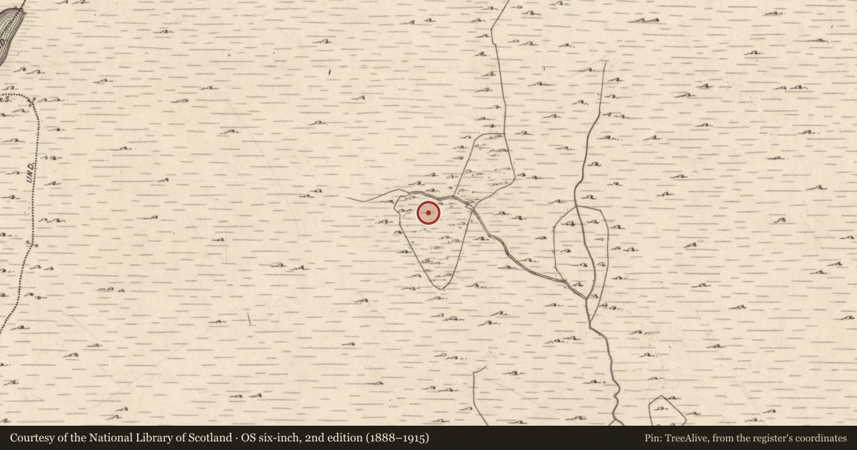 Ordnance Survey six-inch map, 2nd edition (1888–1915) covering the location of Sheepfold, Ogúil, County Galway, with a pin at the register's coordinates