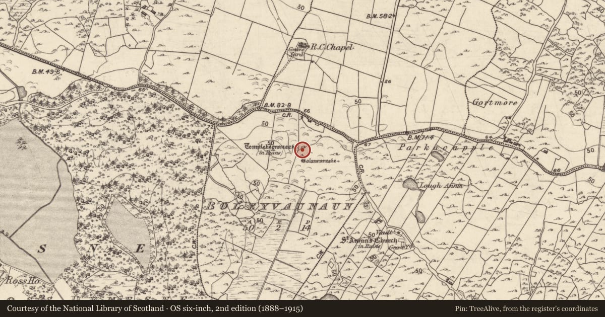 Ordnance Survey six-inch map, 2nd edition (1888–1915) covering the location of Church, Boleyvaunaun, County Galway, with a pin at the register's coordinates