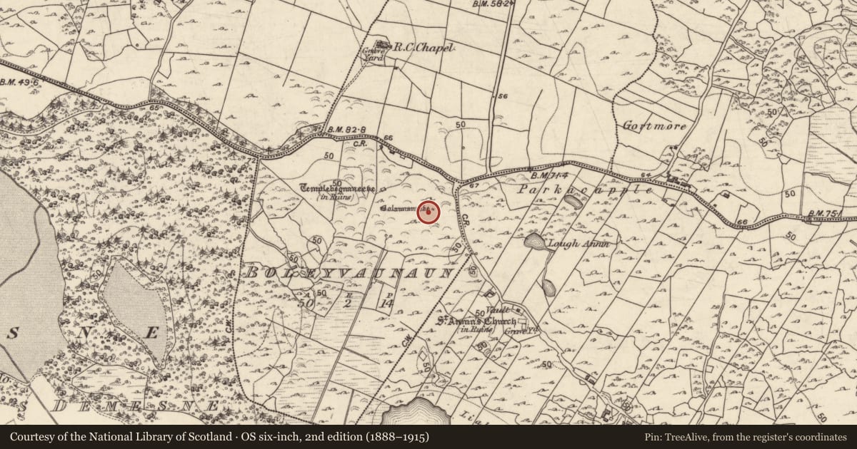 Ordnance Survey six-inch map, 2nd edition (1888–1915) covering the location of Bullaun stone, Boleyvaunaun, County Galway, with a pin at the register's coordinates