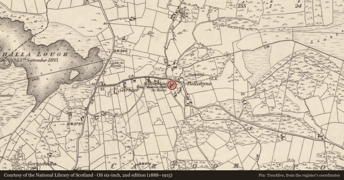 Ordnance Survey six-inch map, 2nd edition (1888–1915) covering the location of Castle - tower house, Cartoor, County Galway, with a pin at the register's coordinates