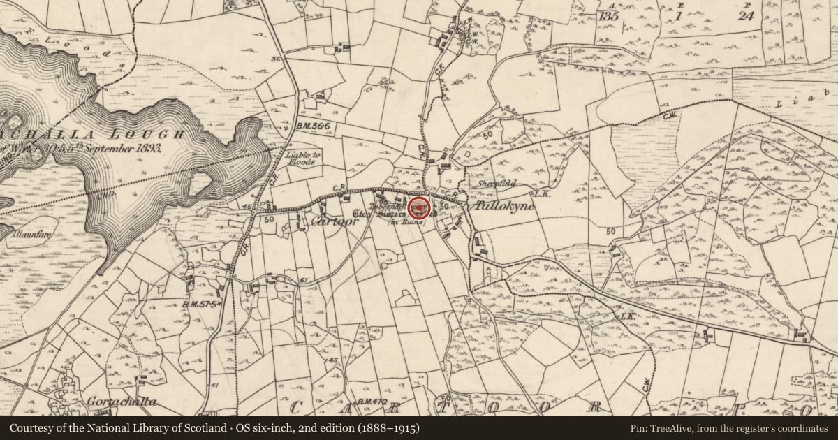 Ordnance Survey six-inch map, 2nd edition (1888–1915) covering the location of Ritual site - holy well, Cartoor, County Galway, with a pin at the register's coordinates