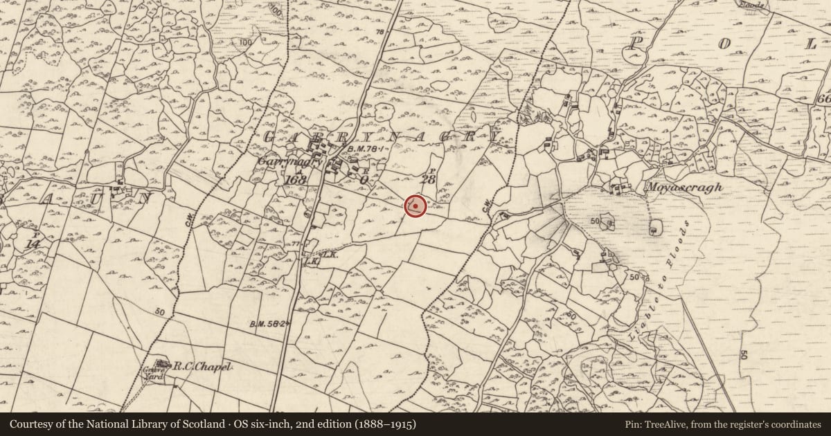 Ordnance Survey six-inch map, 2nd edition (1888–1915) covering the location of Ringfort - unclassified, Garrynagry, County Galway, with a pin at the register's coordinates