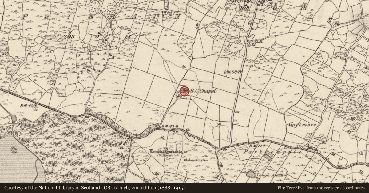 Ordnance Survey six-inch map, 2nd edition (1888–1915) covering the location of Church, Garrynagry, County Galway, with a pin at the register's coordinates
