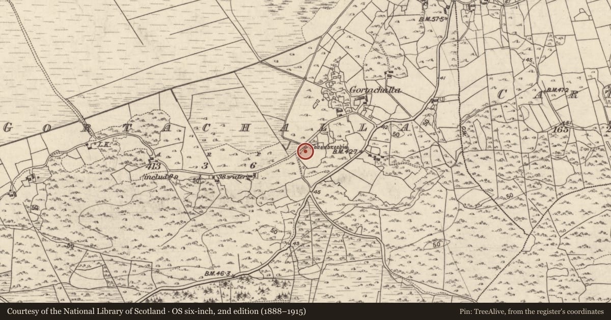 Ordnance Survey six-inch map, 2nd edition (1888–1915) covering the location of Ritual site - holy well, Gort An Chalaidh, County Galway, with a pin at the register's coordinates