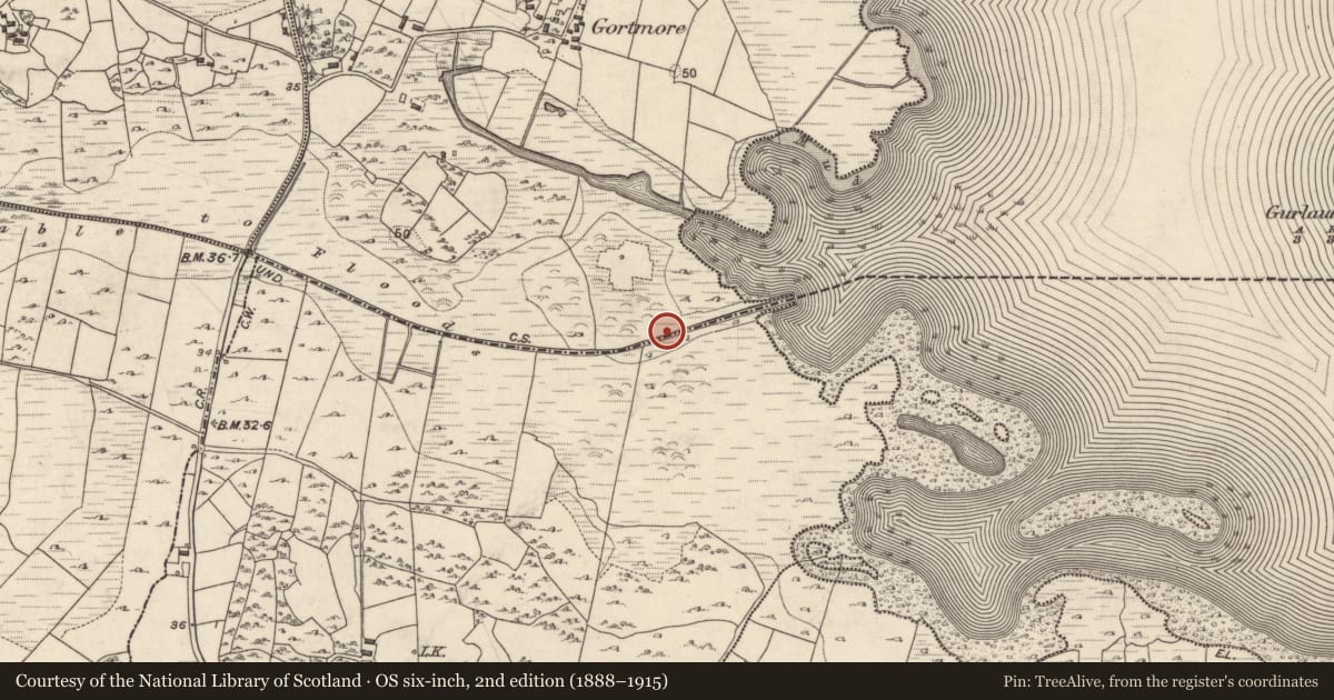 Ordnance Survey six-inch map, 2nd edition (1888–1915) covering the location of Fulacht fia, Gortmore, County Galway, with a pin at the register's coordinates