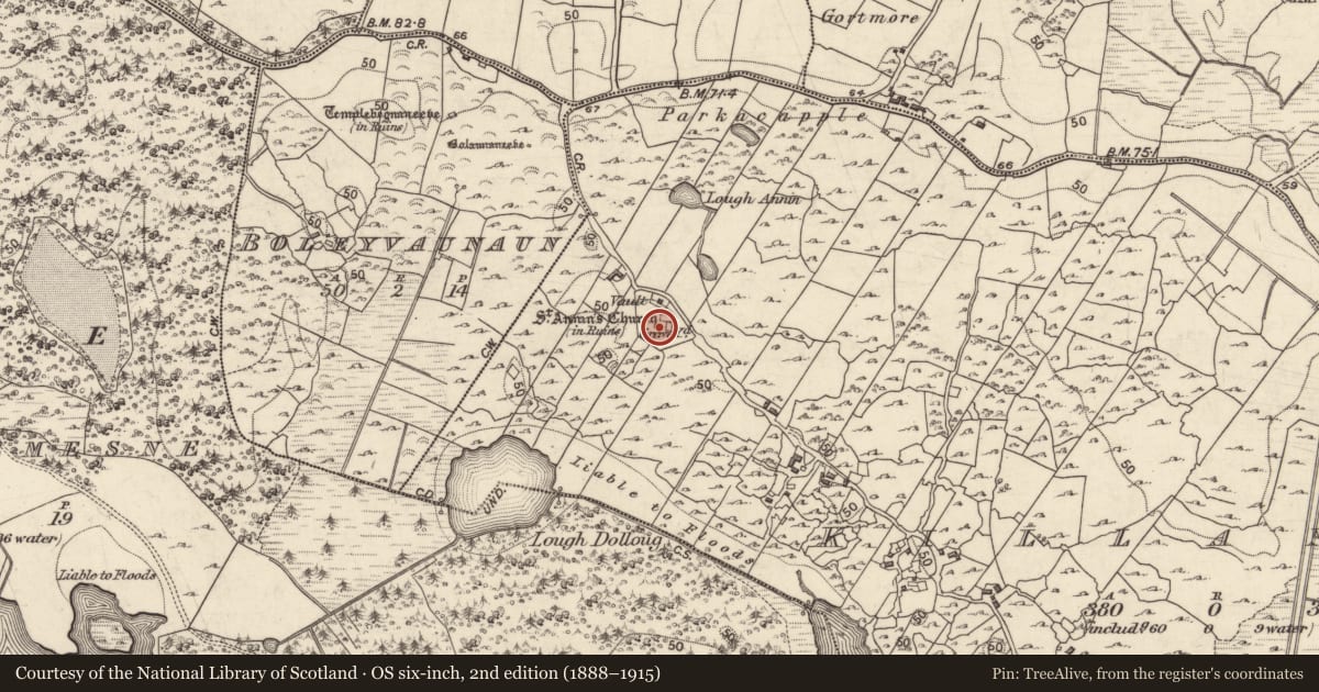 Ordnance Survey six-inch map, 2nd edition (1888–1915) covering the location of Cross-slab, Killannin, County Galway, with a pin at the register's coordinates