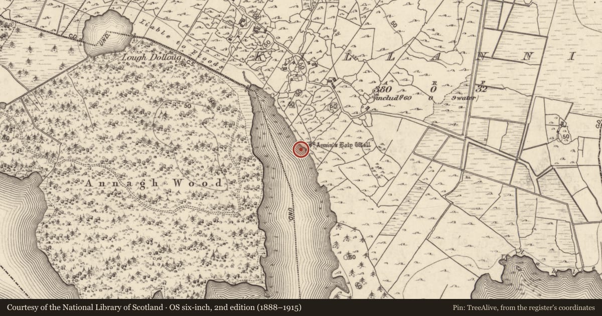 Ordnance Survey six-inch map, 2nd edition (1888–1915) covering the location of Ritual site - holy well, Killannin, County Galway, with a pin at the register's coordinates