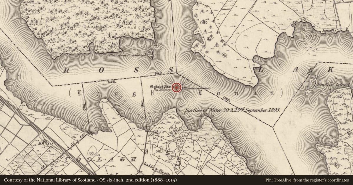 Ordnance Survey six-inch map, 2nd edition (1888–1915) covering the location of Castle - unclassified, An Cnoc Bán, County Galway, with a pin at the register's coordinates