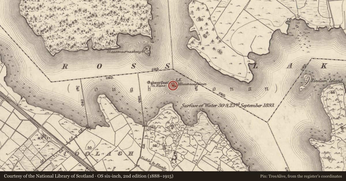 Ordnance Survey six-inch map, 2nd edition (1888–1915) covering the location of Crannog, An Cnoc Bán, County Galway, with a pin at the register's coordinates
