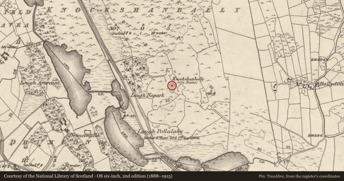 Ordnance Survey six-inch map, 2nd edition (1888–1915) covering the location of Settlement cluster, Cnoc An Tseanbhaile, County Galway, with a pin at the register's coordinates
