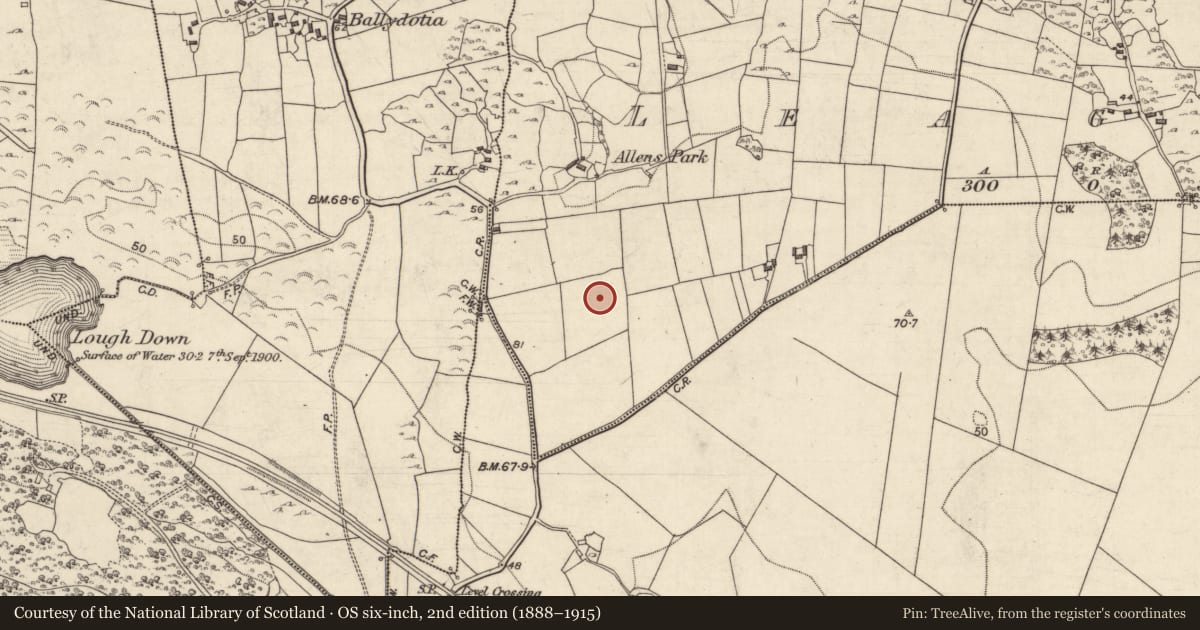 Ordnance Survey six-inch map, 2nd edition (1888–1915) covering the location of Standing stone, Liagán, County Galway, with a pin at the register's coordinates