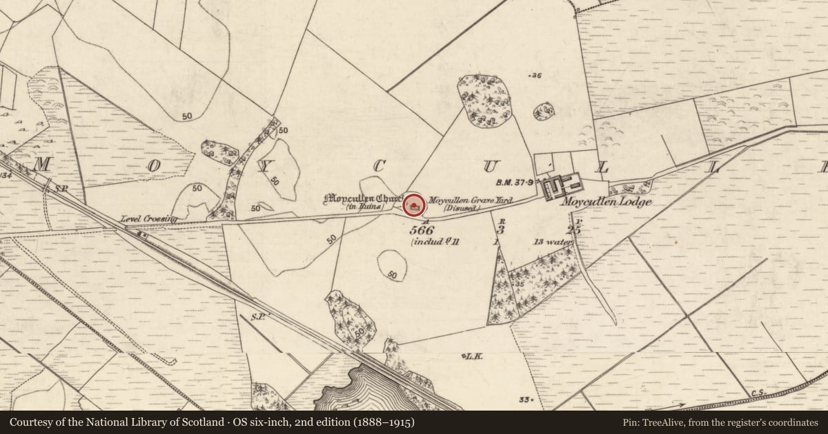 Ordnance Survey six-inch map, 2nd edition (1888–1915) covering the location of Church, Maigh Cuilinn, County Galway, with a pin at the register's coordinates