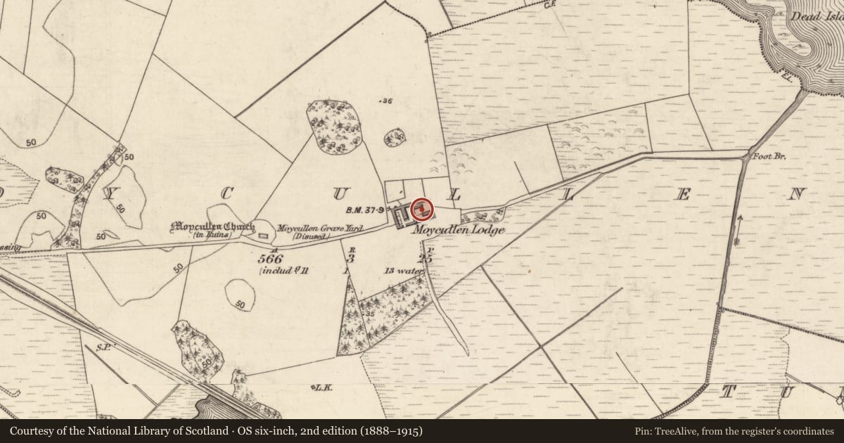 Ordnance Survey six-inch map, 2nd edition (1888–1915) covering the location of Bawn, Maigh Cuilinn, County Galway, with a pin at the register's coordinates