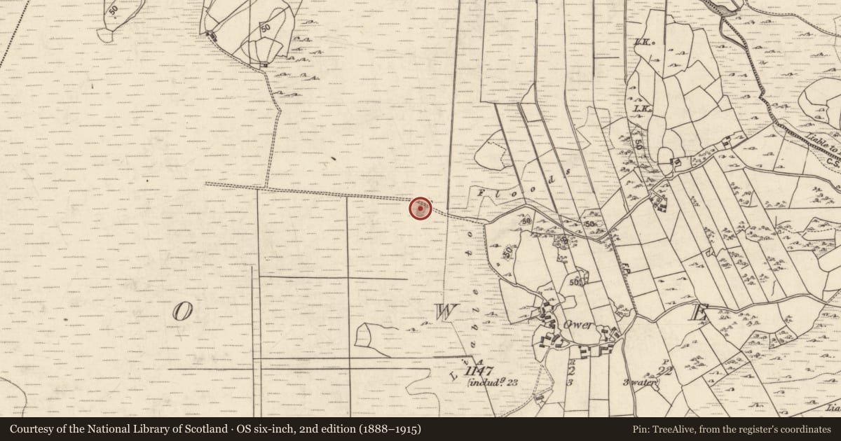 Ordnance Survey six-inch map, 2nd edition (1888–1915) covering the location of Quarry, Ower, County Galway, with a pin at the register's coordinates