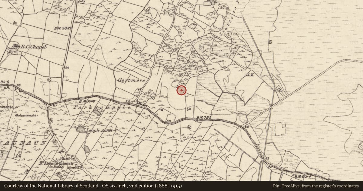 Ordnance Survey six-inch map, 2nd edition (1888–1915) covering the location of Ringfort - cashel, Pollagh, County Galway, with a pin at the register's coordinates