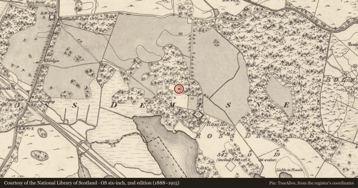Ordnance Survey six-inch map, 2nd edition (1888–1915) covering the location of Icehouse, Ross Demesne, County Galway, with a pin at the register's coordinates