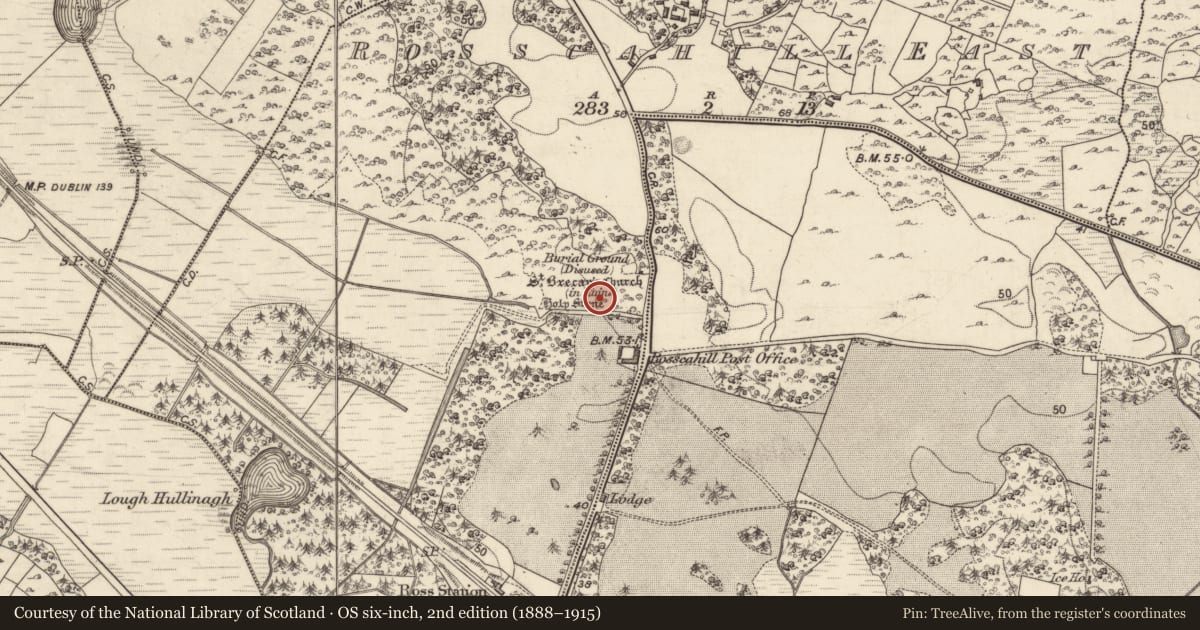 Ordnance Survey six-inch map, 2nd edition (1888–1915) covering the location of Bullaun stone, Rosscahill East, County Galway, with a pin at the register's coordinates