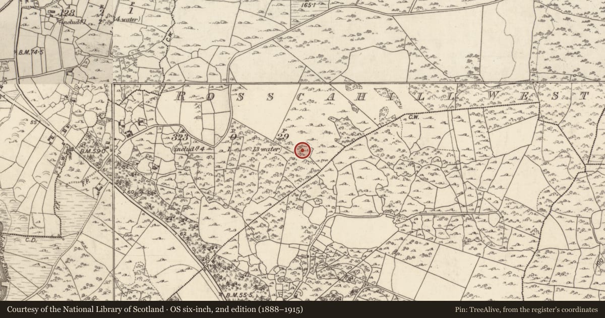 Ordnance Survey six-inch map, 2nd edition (1888–1915) covering the location of Enclosure, Rosscahill West, County Galway, with a pin at the register's coordinates