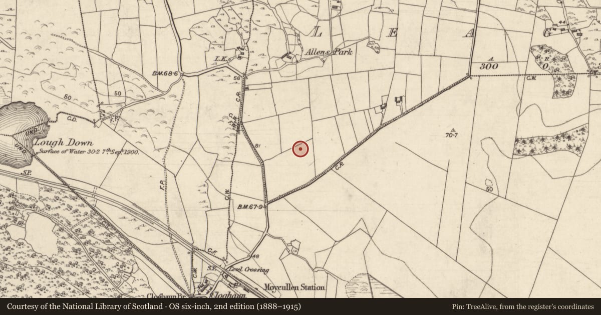 Ordnance Survey six-inch map, 2nd edition (1888–1915) covering the location of Mound, Liagán, County Galway, with a pin at the register's coordinates