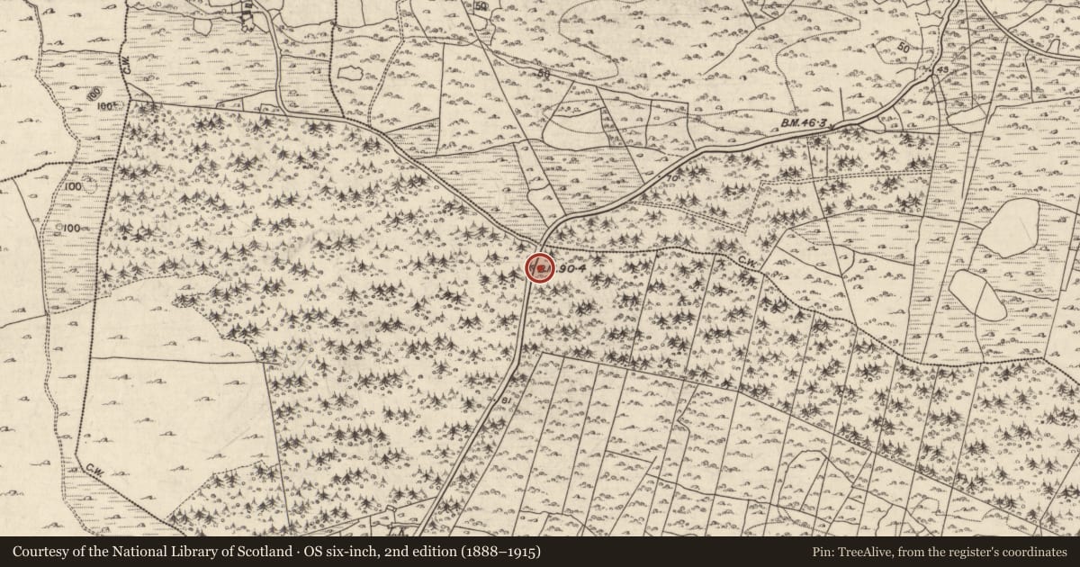 Ordnance Survey six-inch map, 2nd edition (1888–1915) covering the location of Kiln - lime, Ballynahallia, County Galway, with a pin at the register's coordinates