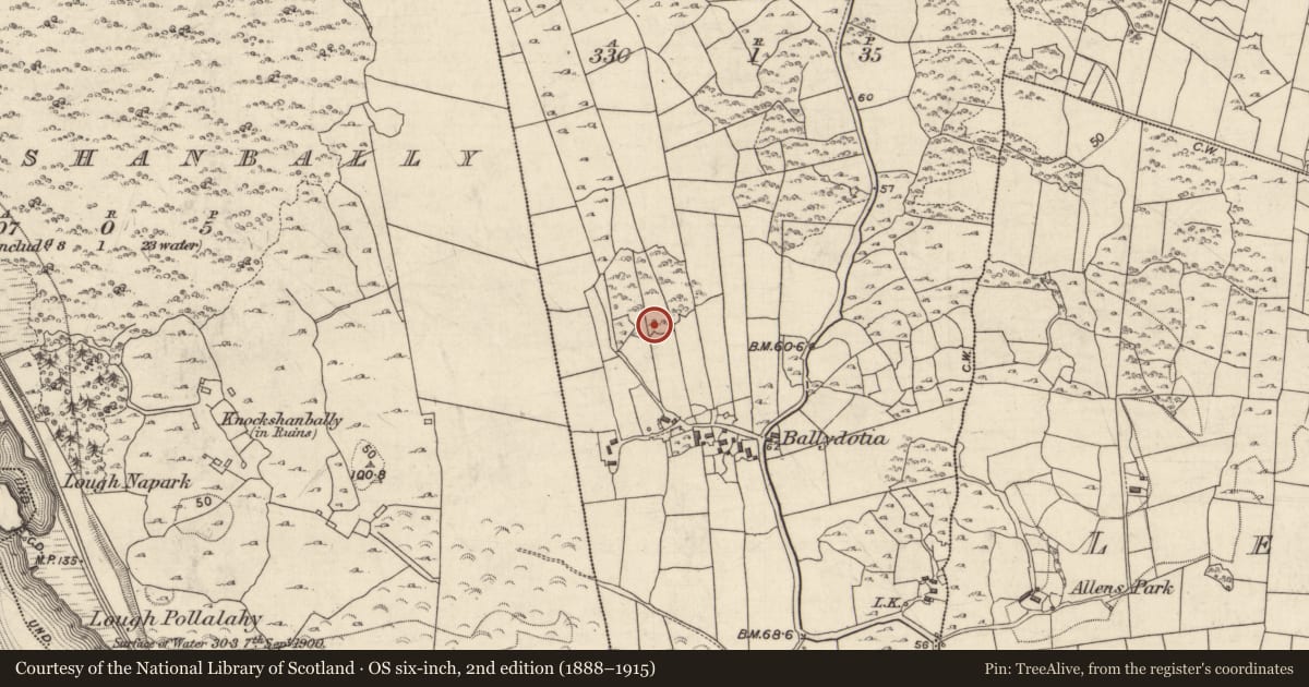 Ordnance Survey six-inch map, 2nd edition (1888–1915) covering the location of Ringfort - cashel, Baile Dóite, County Galway, with a pin at the register's coordinates