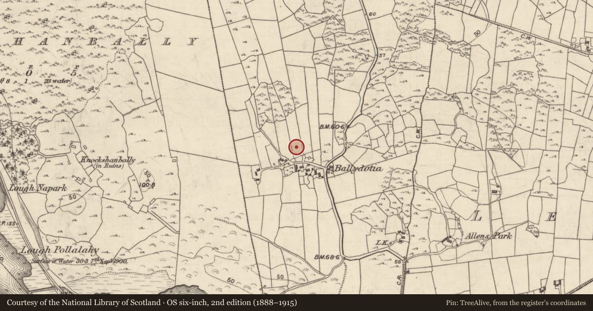 Ordnance Survey six-inch map, 2nd edition (1888–1915) covering the location of Bullaun stone, Baile Dóite, County Galway, with a pin at the register's coordinates