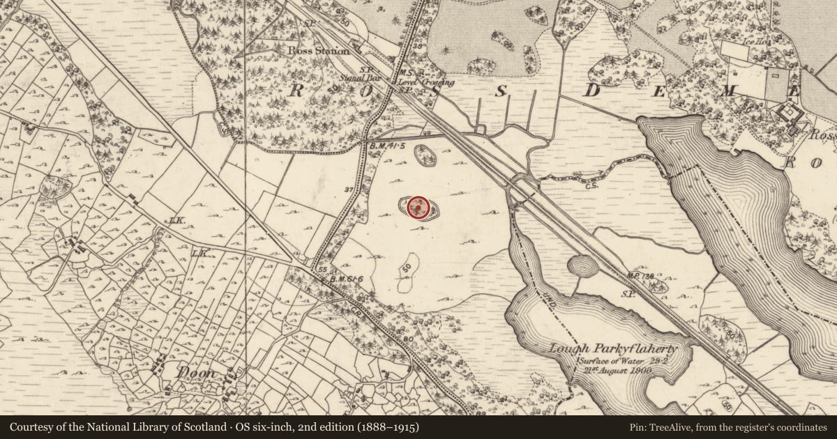 Ordnance Survey six-inch map, 2nd edition (1888–1915) covering the location of Designed landscape - tree-ring, Ross Demesne, County Galway, with a pin at the register's coordinates