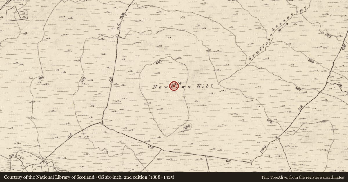 Ordnance Survey six-inch map, 2nd edition (1888–1915) covering the location of Cairn - unclassified, An Baile Nua, County Galway, with a pin at the register's coordinates