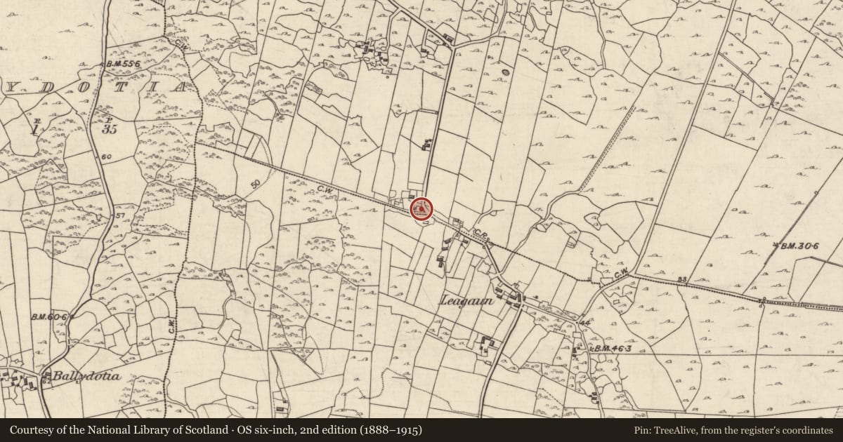 Ordnance Survey six-inch map, 2nd edition (1888–1915) covering the location of Souterrain, Ballynahallia, County Galway, with a pin at the register's coordinates
