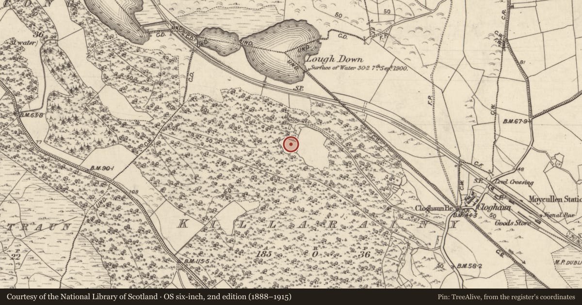 Ordnance Survey six-inch map, 2nd edition (1888–1915) covering the location of Field boundary, Cill Ráine, County Galway, with a pin at the register's coordinates