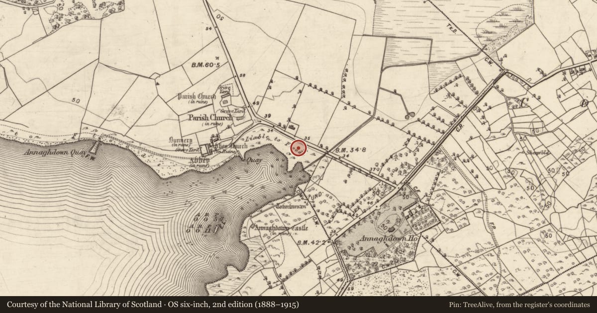 Ordnance Survey six-inch map, 2nd edition (1888–1915) covering the location of Causeway, Eanach Dhúin, County Galway, with a pin at the register's coordinates