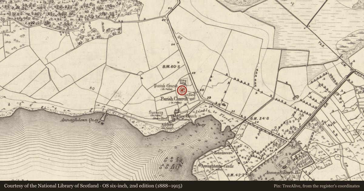 Ordnance Survey six-inch map, 2nd edition (1888–1915) covering the location of Graveslab, Eanach Dhúin, County Galway, with a pin at the register's coordinates