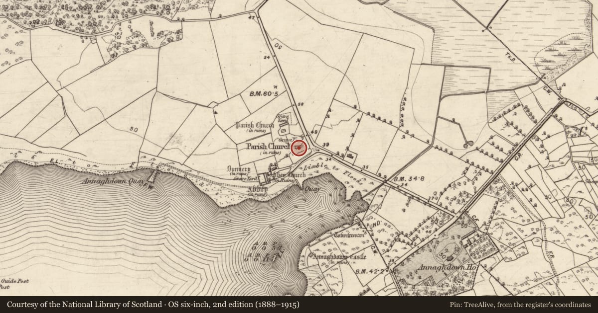 Ordnance Survey six-inch map, 2nd edition (1888–1915) covering the location of Cross-inscribed pillar, Eanach Dhúin, County Galway, with a pin at the register's coordinates