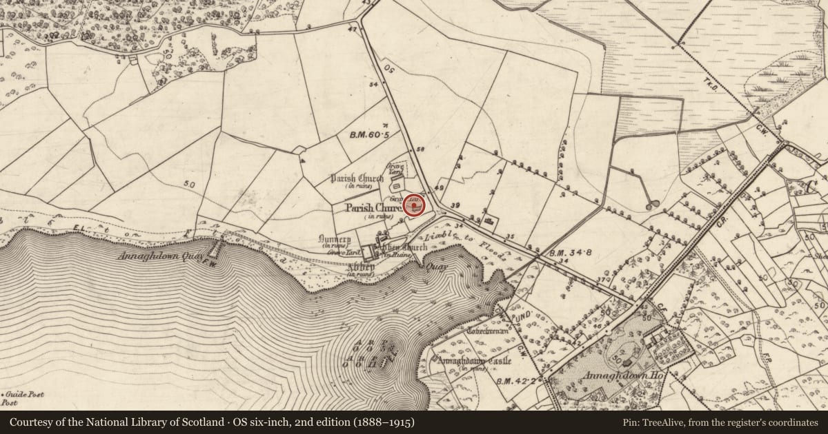 Ordnance Survey six-inch map, 2nd edition (1888–1915) covering the location of Graveyard, Eanach Dhúin, County Galway, with a pin at the register's coordinates