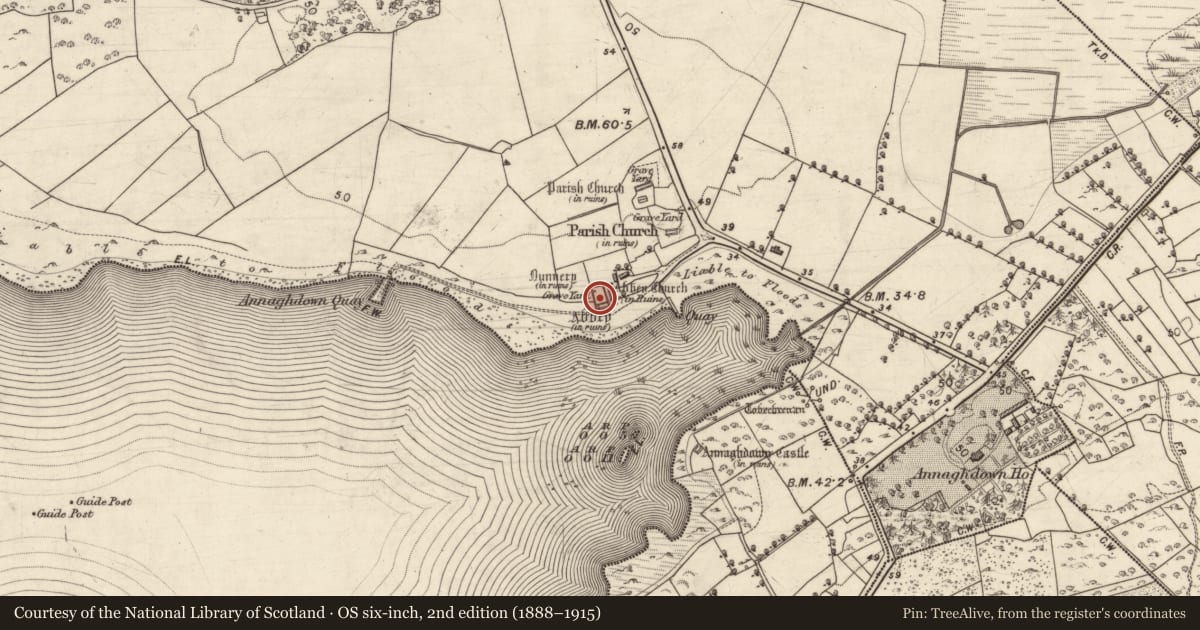 Ordnance Survey six-inch map, 2nd edition (1888–1915) covering the location of Religious house - Augustinian canons, Eanach Dhúin, County Galway, with a pin at the register's coordinates
