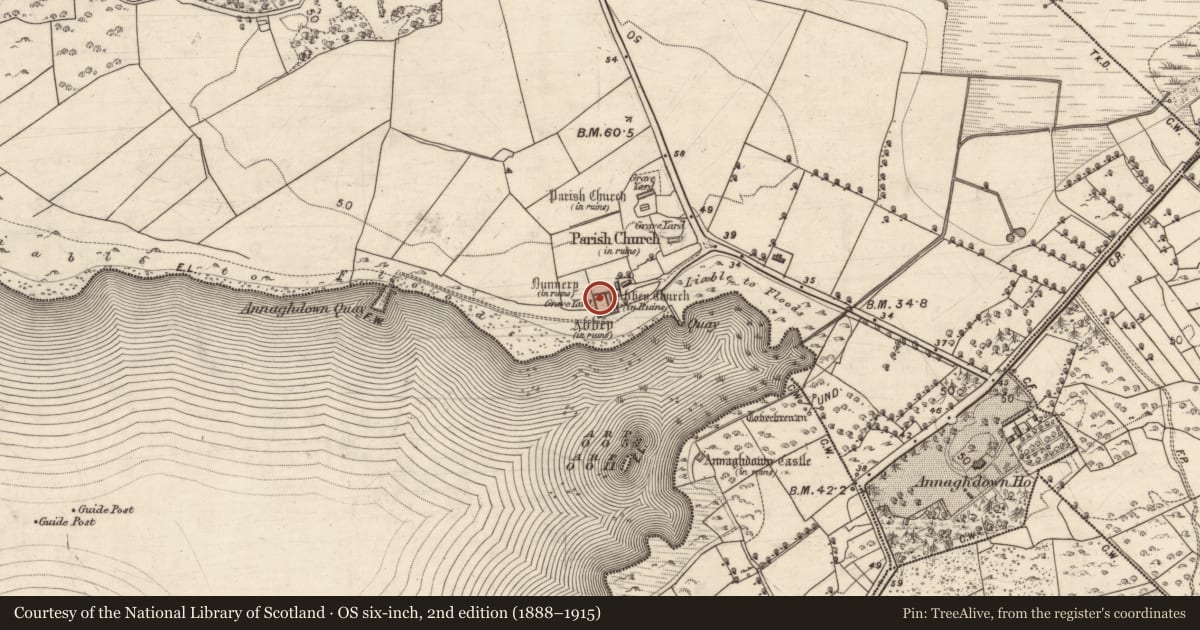 Ordnance Survey six-inch map, 2nd edition (1888–1915) covering the location of Cross-slab, Eanach Dhúin, County Galway, with a pin at the register's coordinates